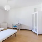 Homestay Asprela Porto