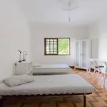 Asprela